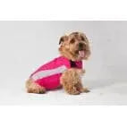 Thundershirt Sport or Polo.