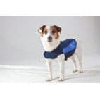 Thundershirt Sport or Polo.