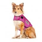 Thundershirt Sport or Polo.