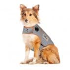 Thundershirt Sport or Polo.