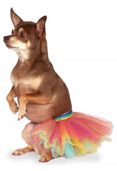 Rainbow Tutu.