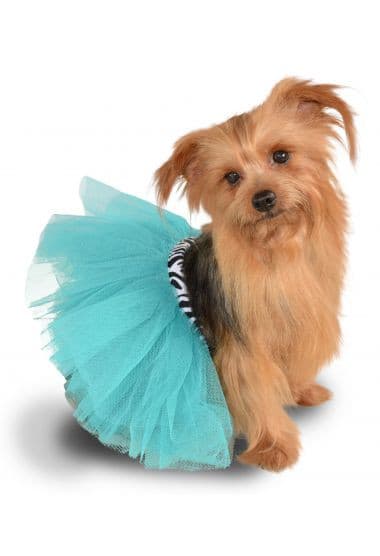 Turquoise Zebra Tutu.