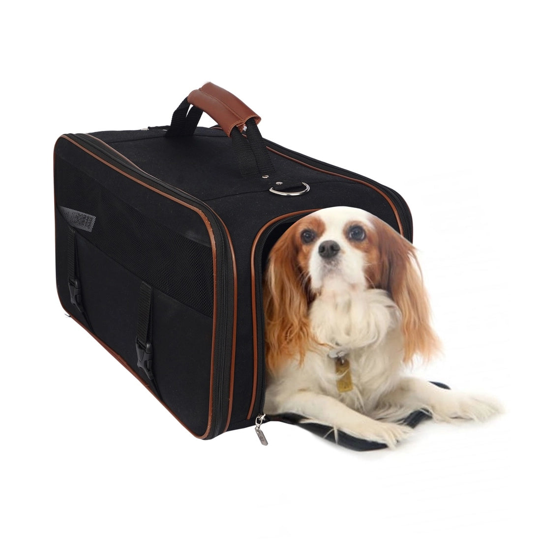 Canvas pet carrier best sale