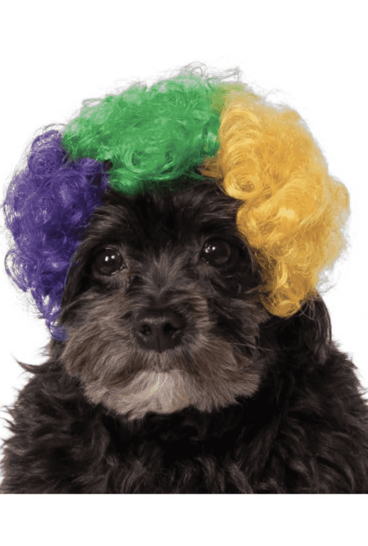 Mardi Gras Afro Pet Wig.