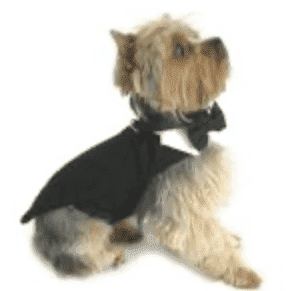 Black Dog Harness Tuxedo w/Tails, Bow Tie, and Cotton Collar.