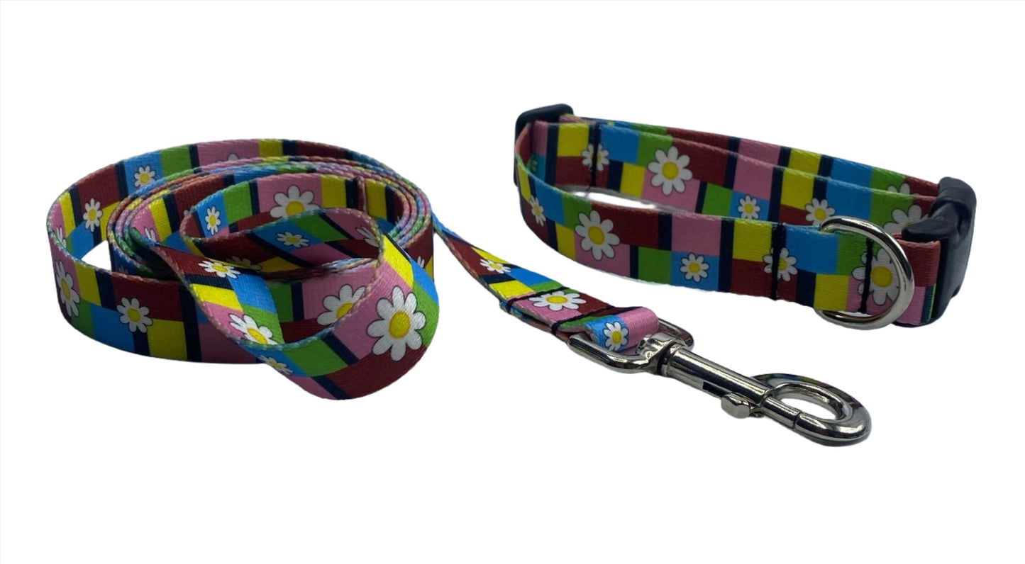 Blocks of Daizy Collars or leads (1" Wide).