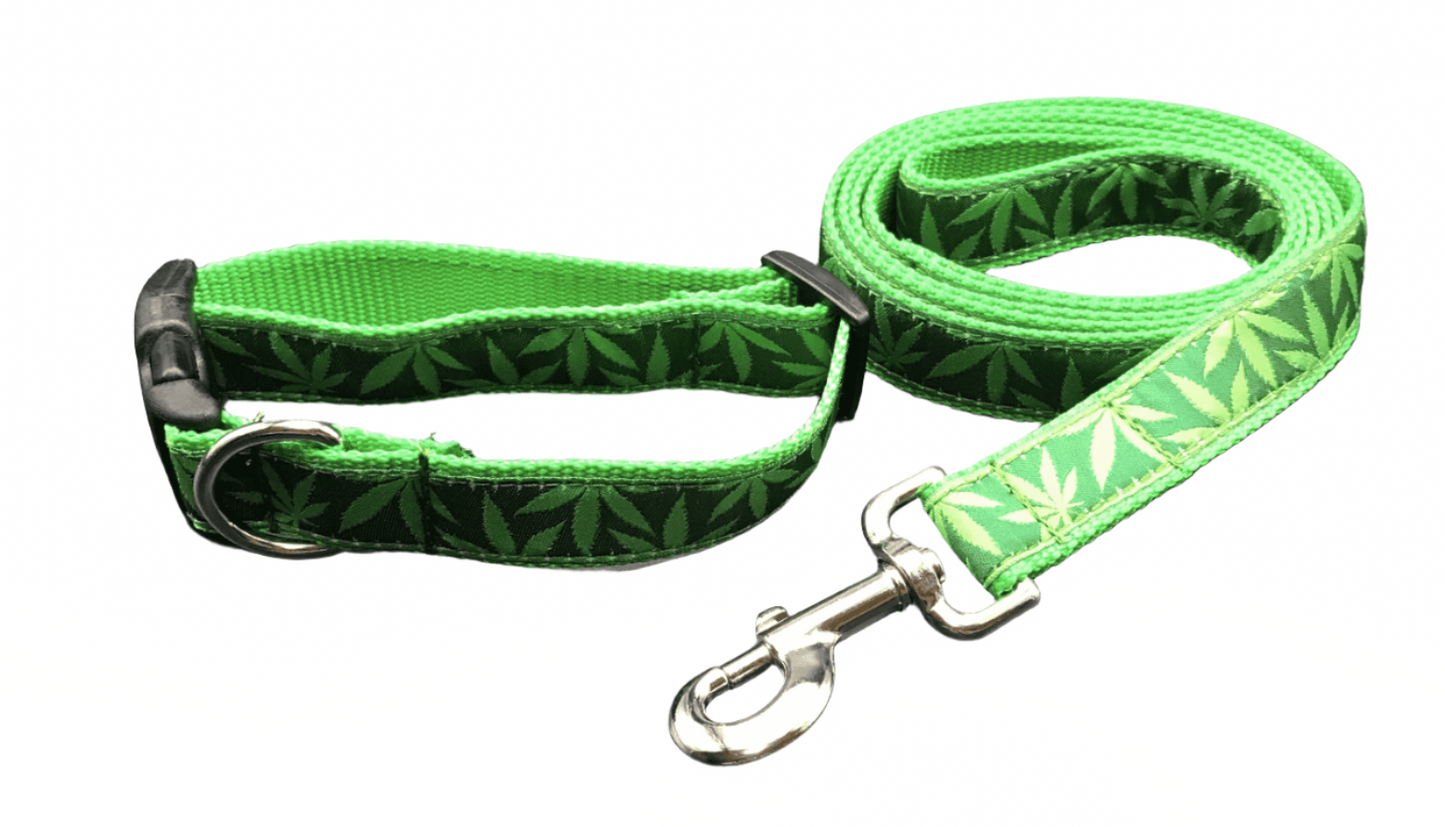 Cannabliss Dog Collar or Lead (1" Wide).