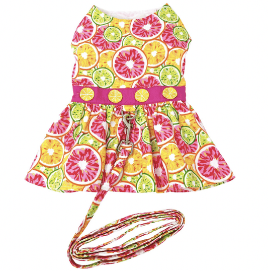 Citrus Slice Dog Dress with Matching Leash.