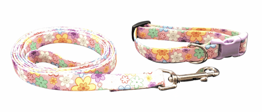 Daisy Delight Dog Collar & Leads (1.5" Wide).