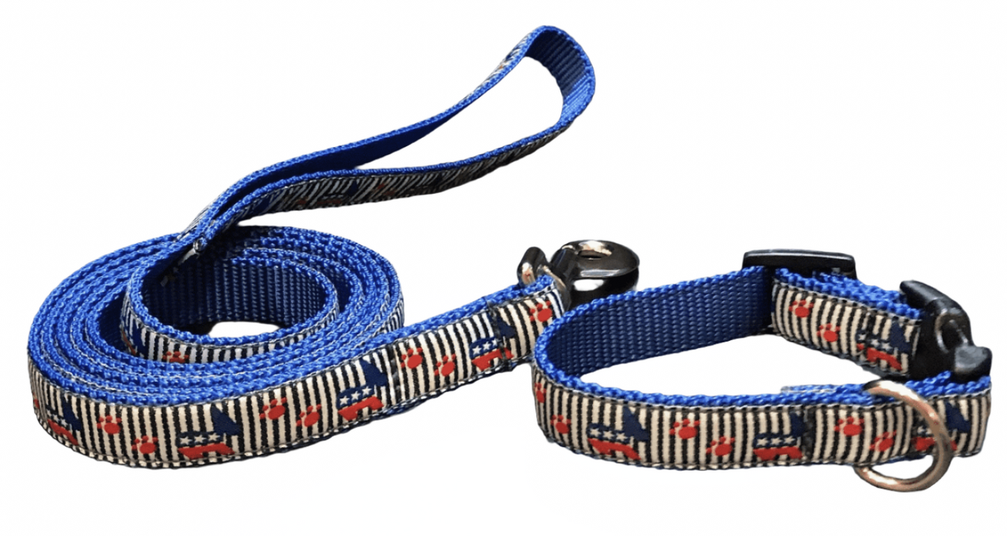 Democratic Pride Dog Collar or Lead (5/8" Wide).