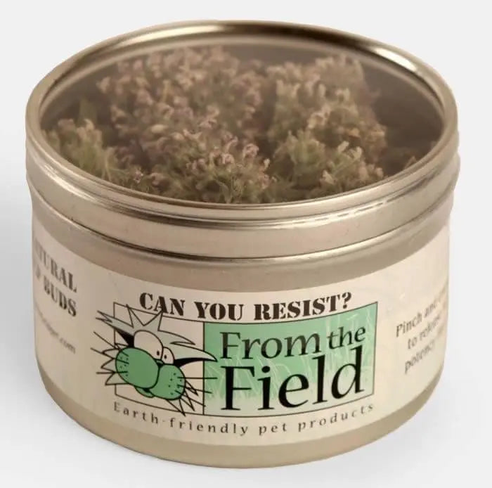 Catnip Buds in a tin.
