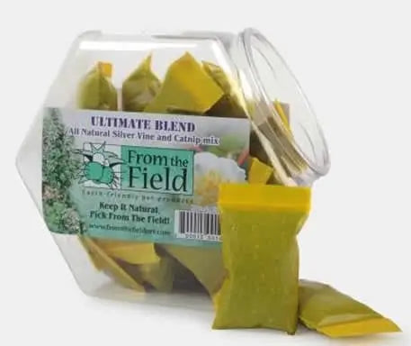 Silver Vine Catnip.