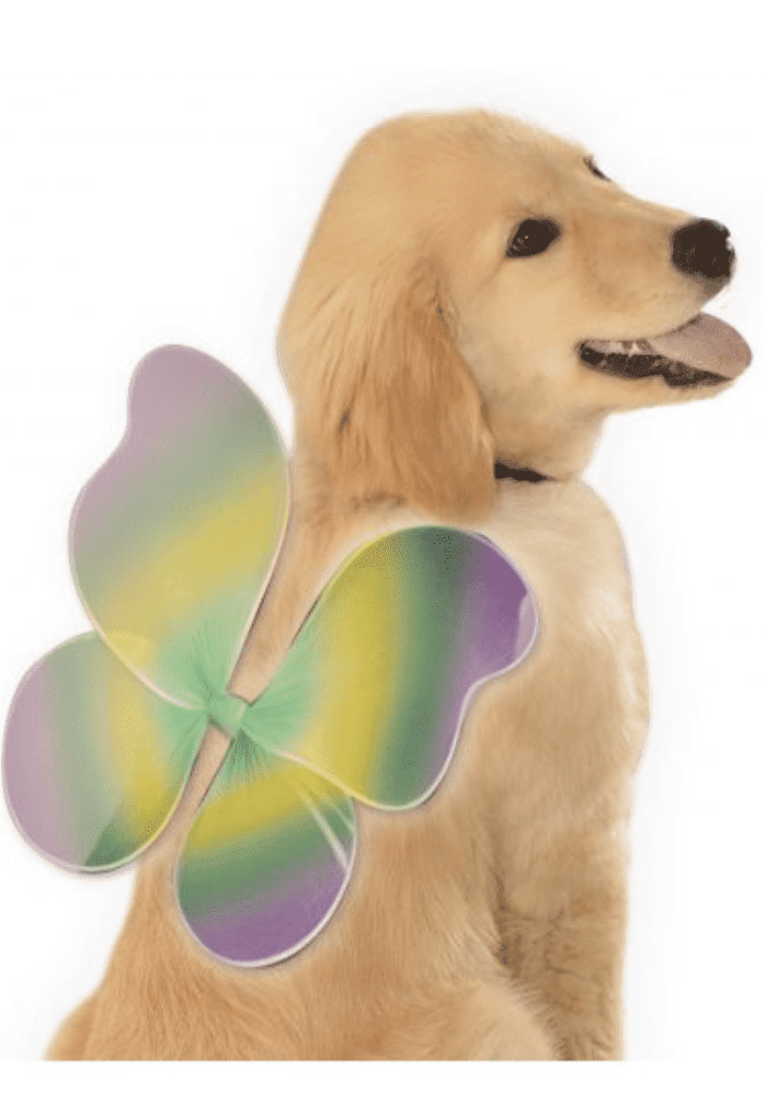Fairy Pet Wings.