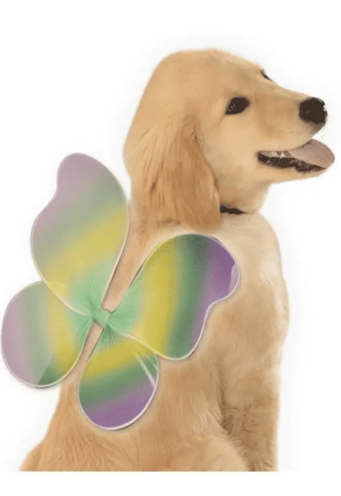 Fairy Pet Wings.