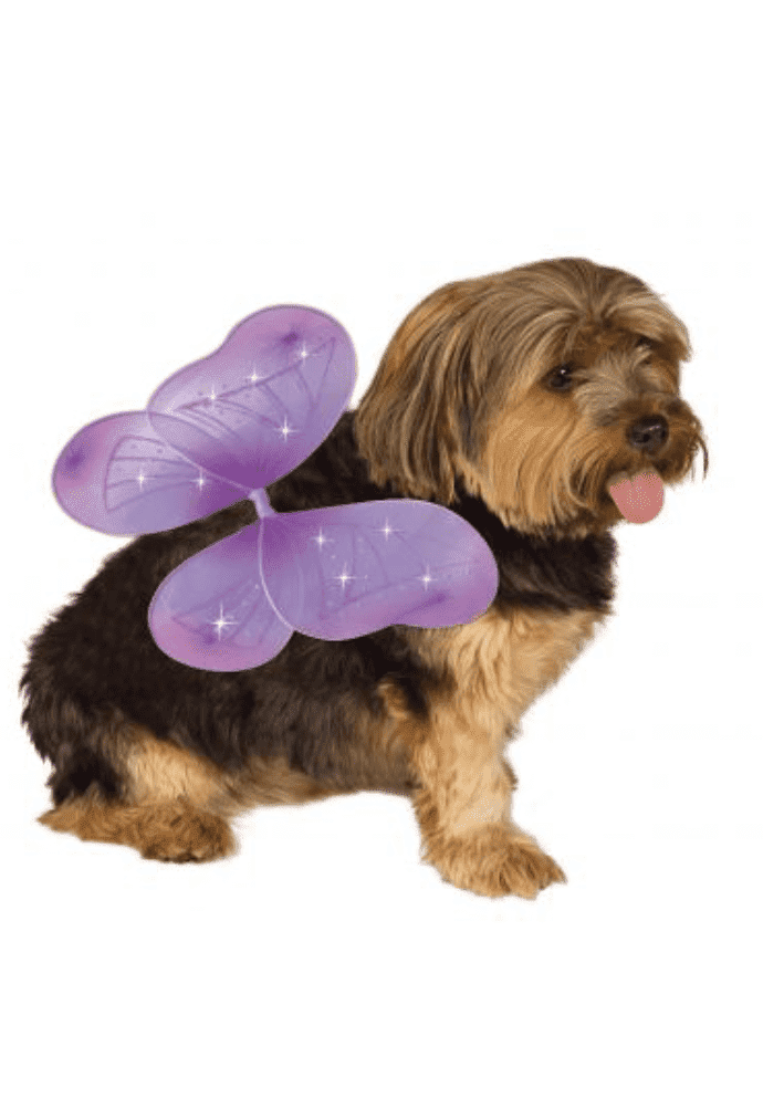 Fairy Pet Wings.