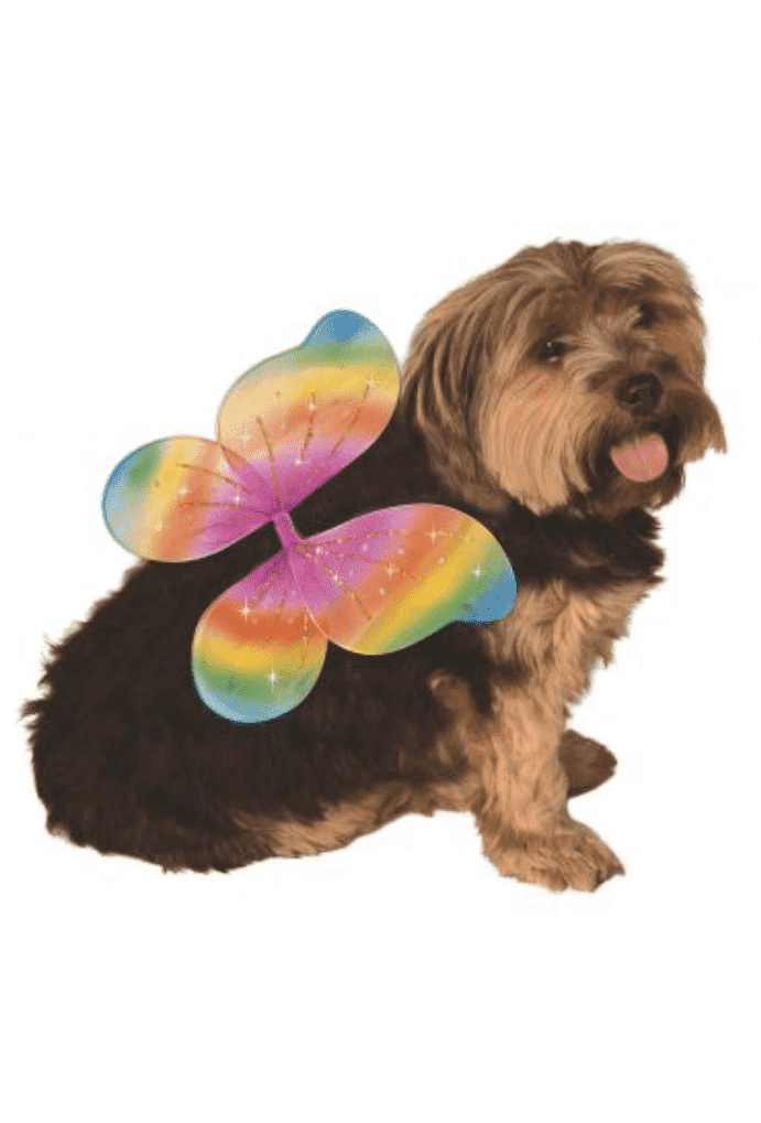 Fairy Pet Wings.
