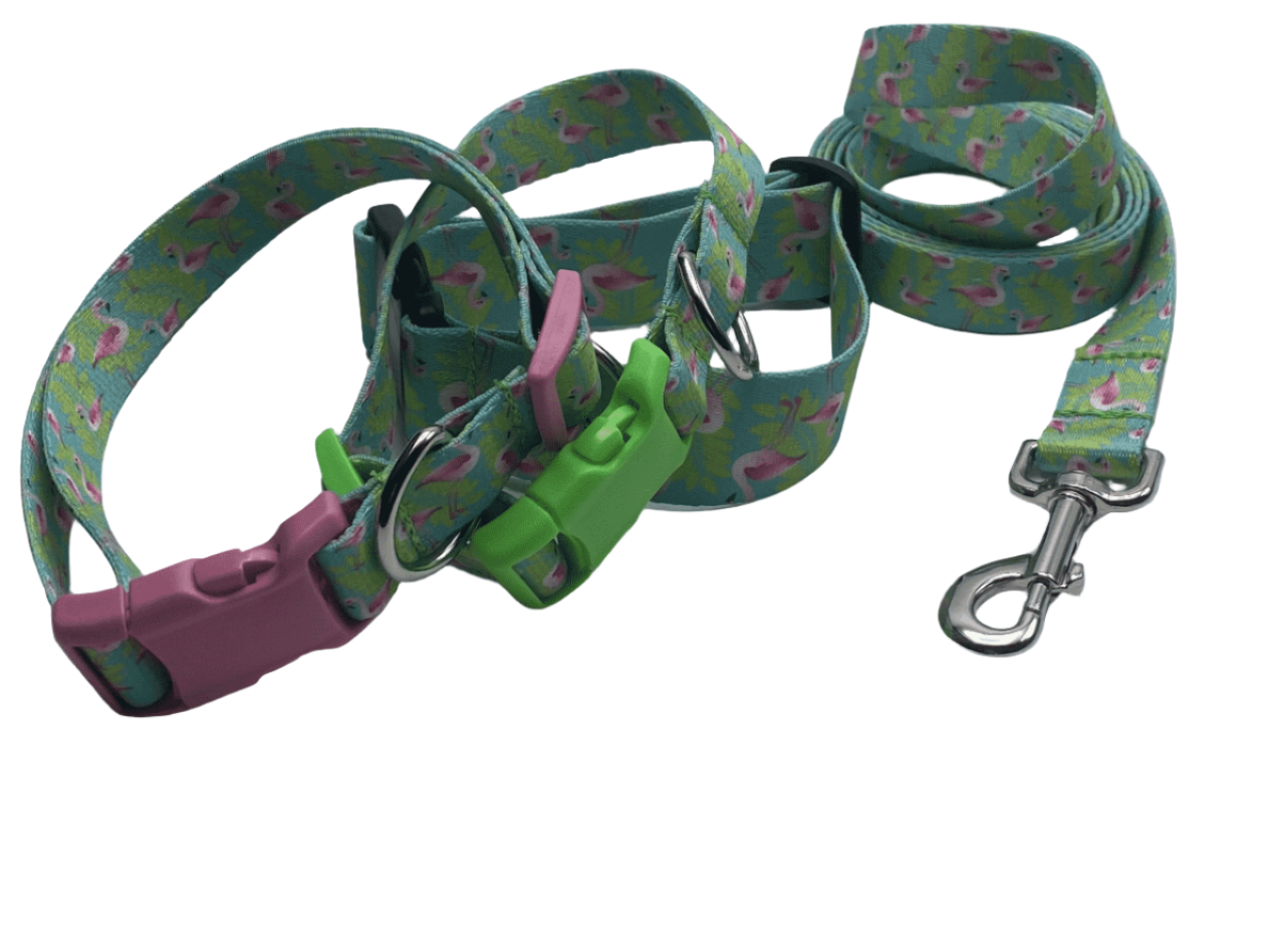 Flamingo A Gogo Dog Collars or Leads (5/8" Wide).
