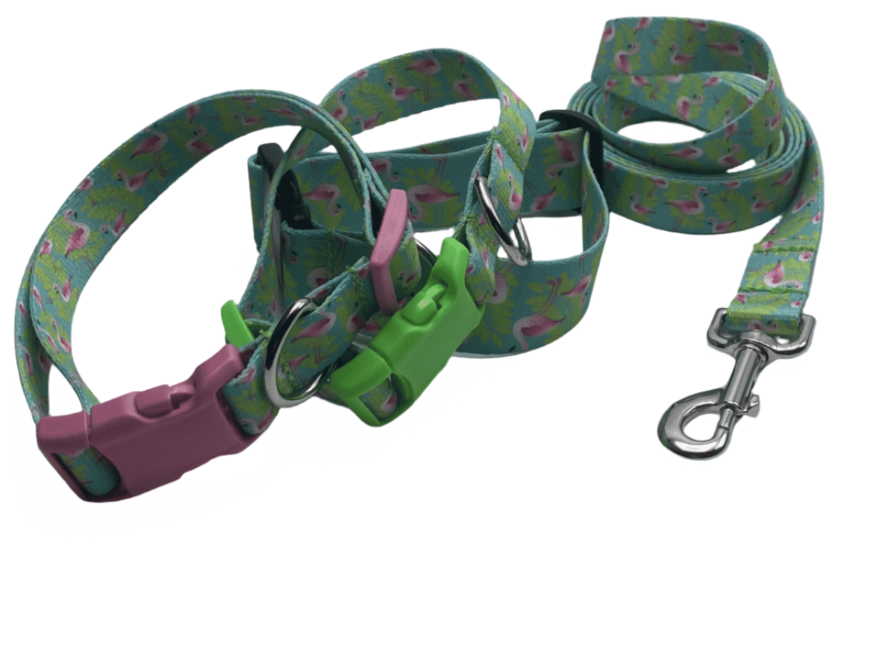 Gogo sales dog collar