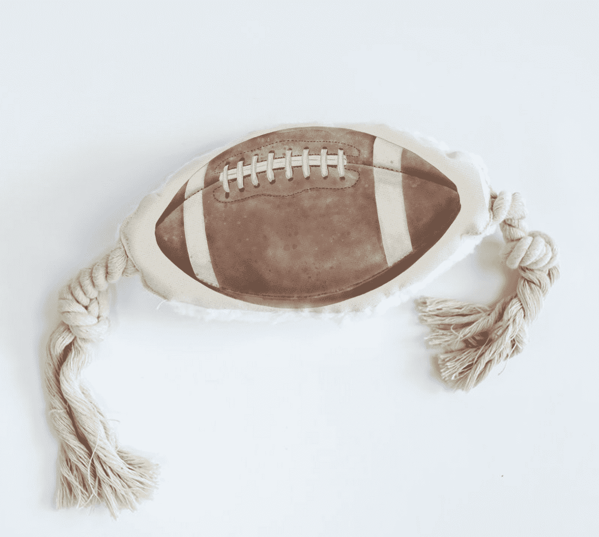 Football Pet Toy.