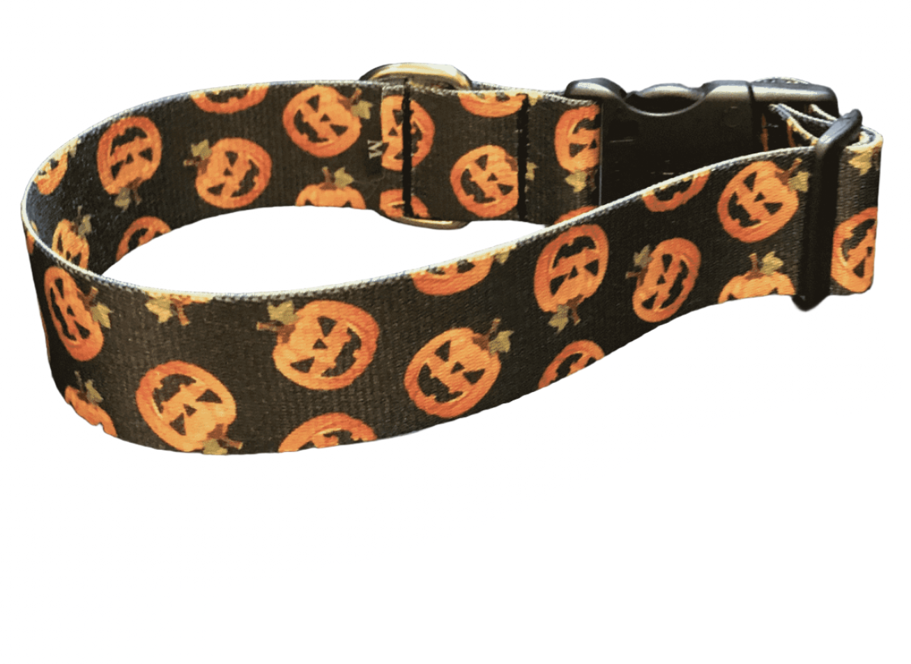 Fright Night Pumpkin Patch Dog Collar & Leads (1.5" Wide).