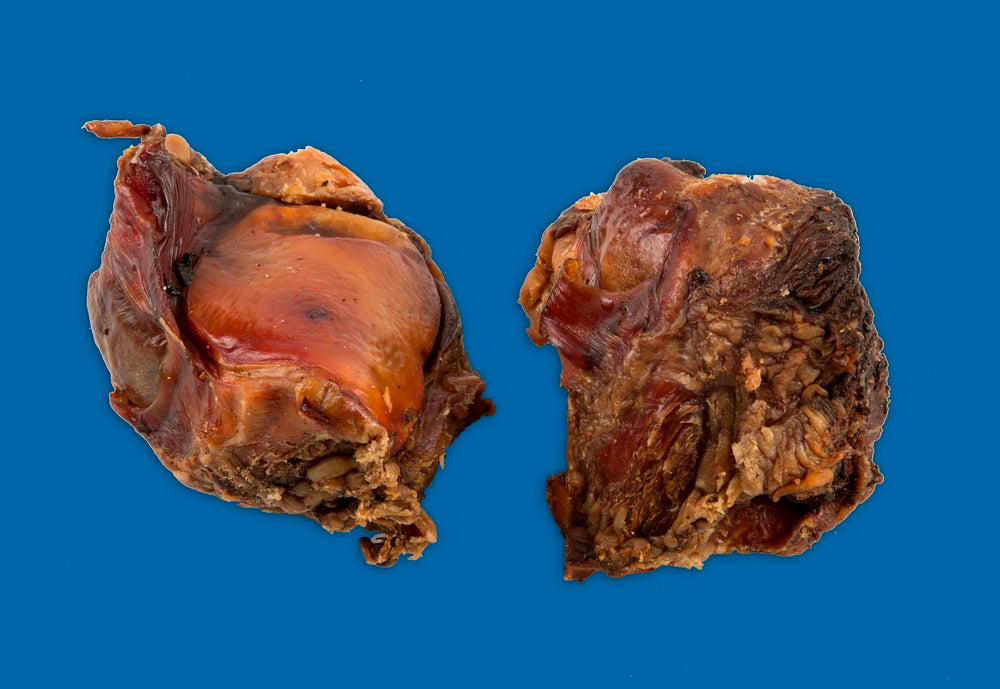 Beef Knee Cap.