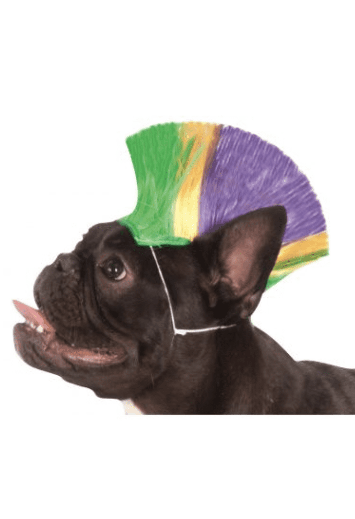 Mardi Gras Pet Mohawk Wig.