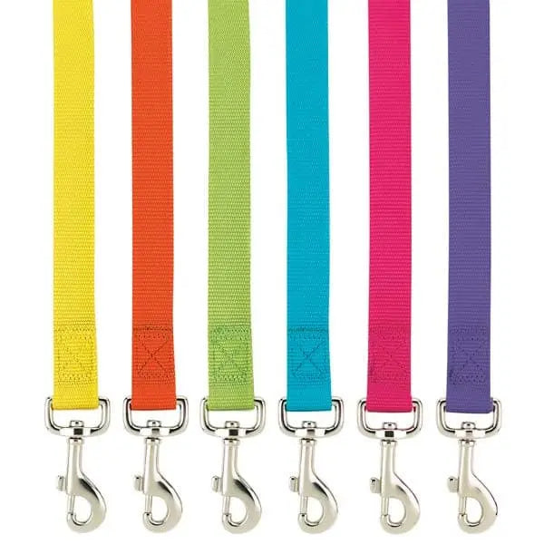 Basic Collars & Leads.