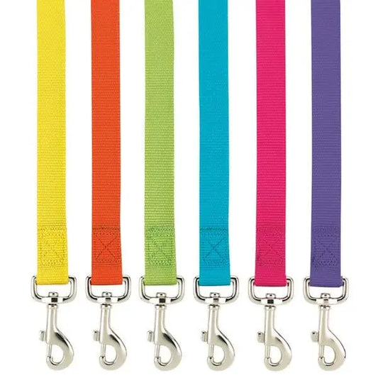 Basic Collars & Leads.