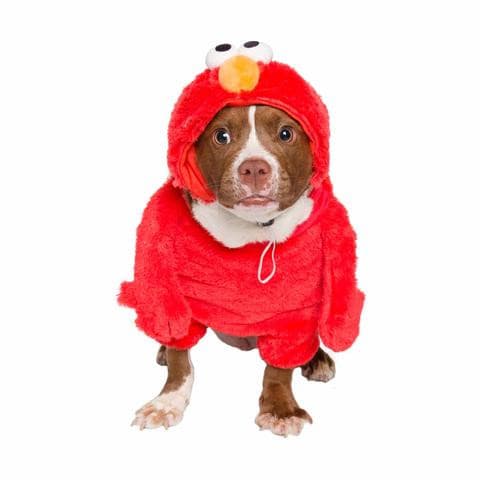 Sesame Street Elmo Pet Costume.