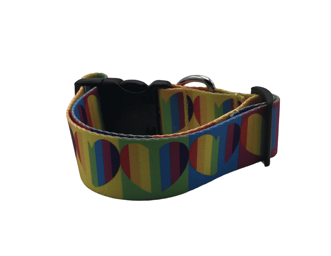 Pride Harts Dog Collars & Leads (1.5" Wide).