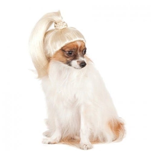 Blonde Ponytail Wig.
