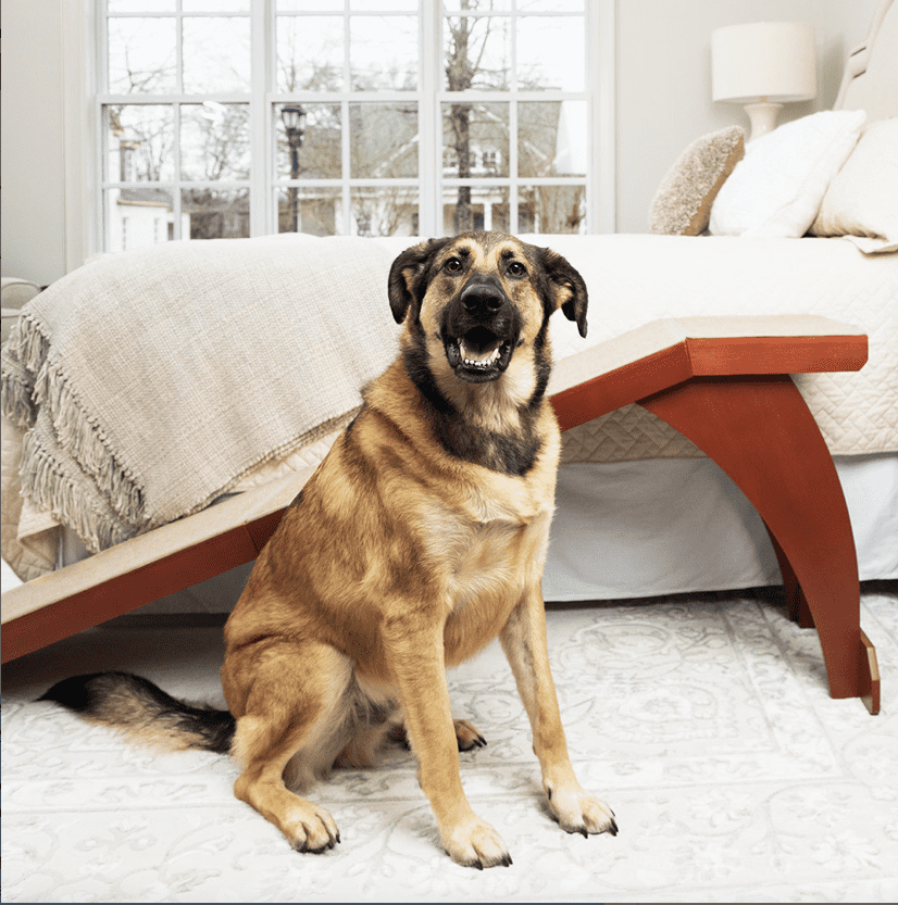 CozyUp™ Bed Ramp White.