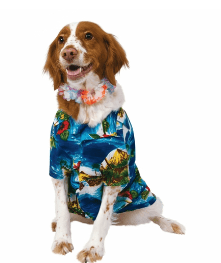 Luau Pet Costume.