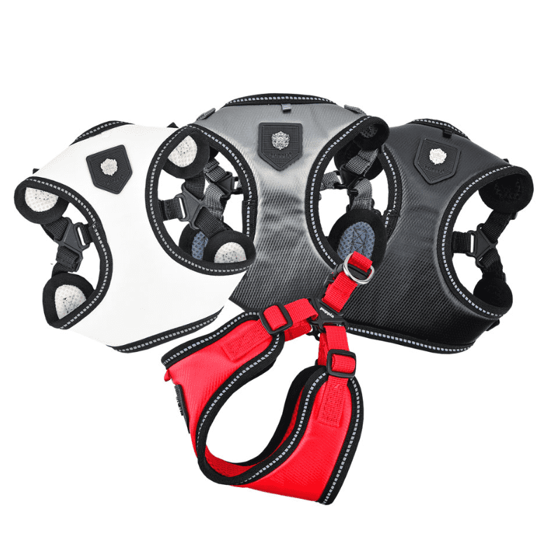 Legacy Harness C (Gray).