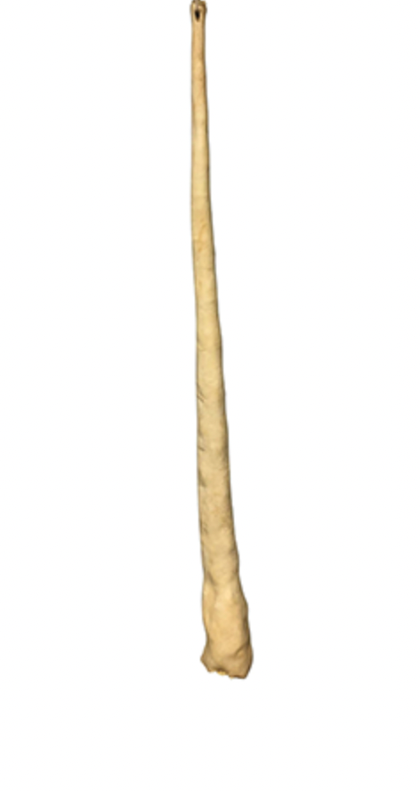 Water Buffalo Tail.