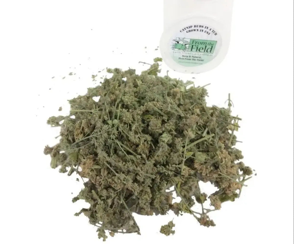 Catnip Buds Tub.