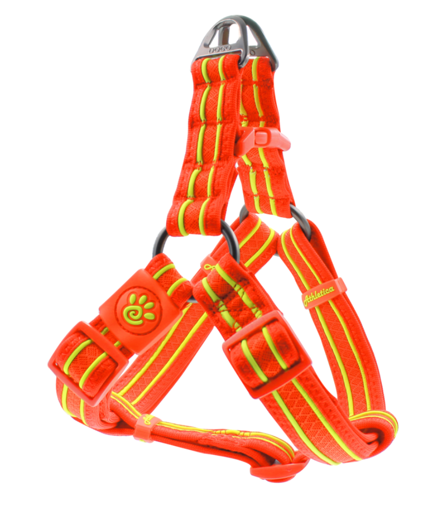 Solar Step Harnesses.