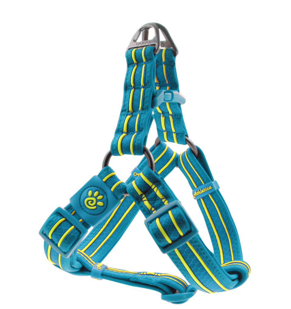 Solar Step Harnesses.