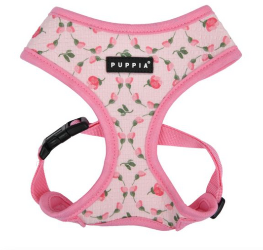 Florian Dog Harness A.