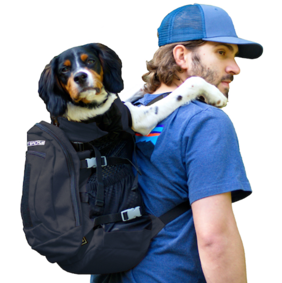 Large K9 Sport Sack Plus2--Jet Black Pet Carriers.