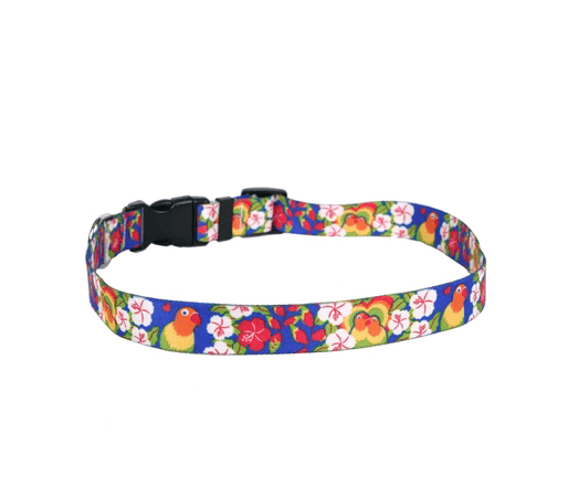 Lovebirds Cat Collar.