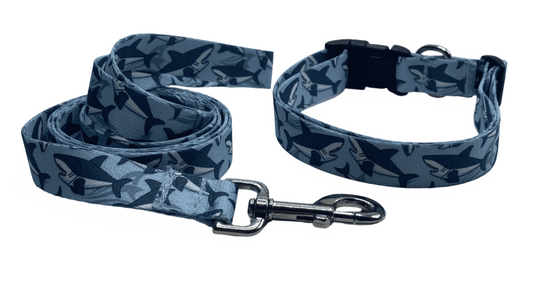 Sharks Collars or leads (1" Wide).