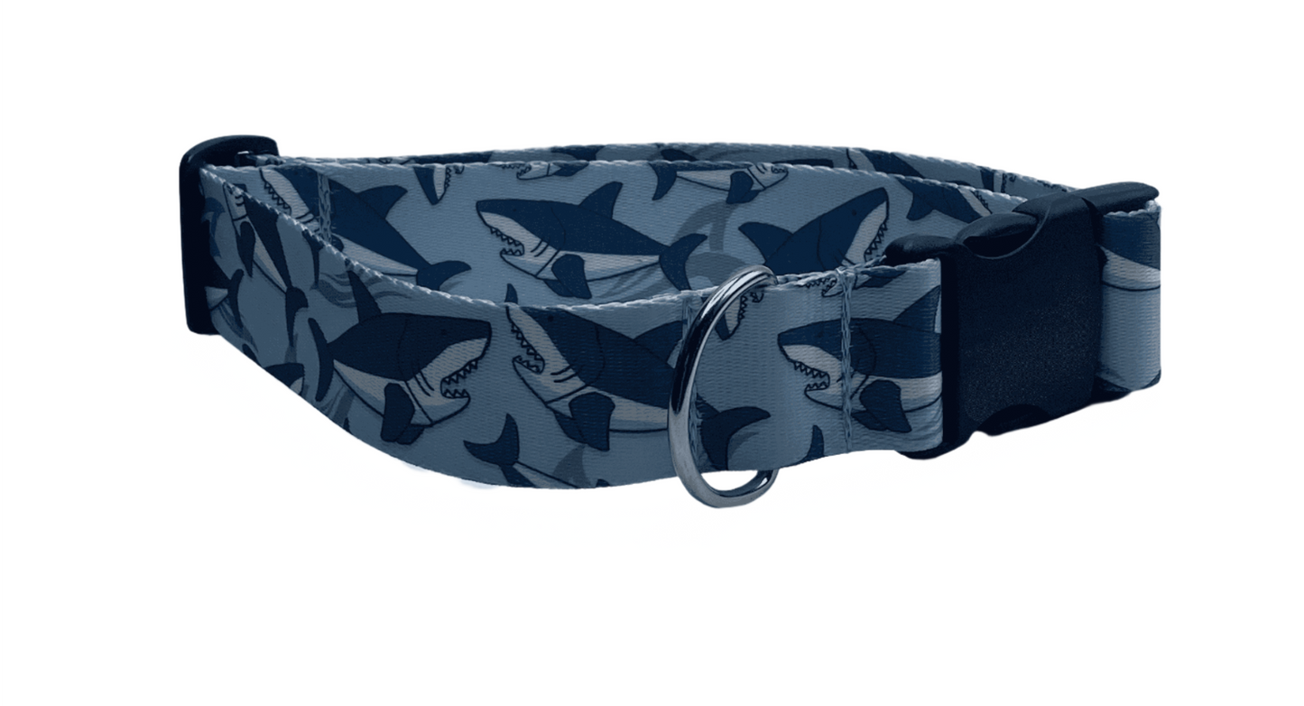 Sharks Dog Collar (1.5" Wide).