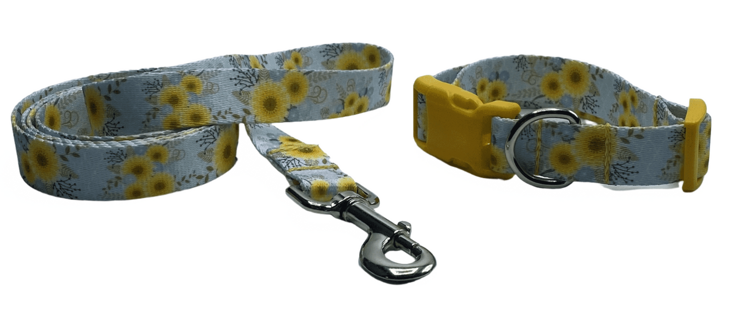 Sunny Days Collars or leads (5/8" wide).