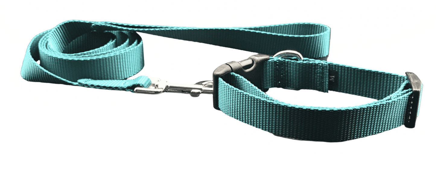 Teal Dog Collar w/Reflective Buckle (1" Wide).