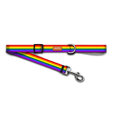 Pride Dog collar, leads and Harness.