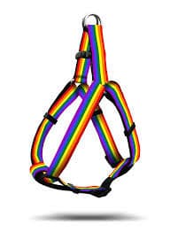 Pride Dog collar, leads and Harness.