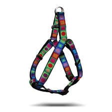 Kaleidoscope Dog, leads and Harness.