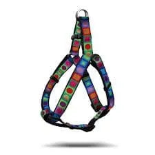 Kaleidoscope Dog, leads and Harness.