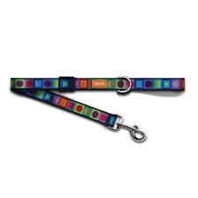 Kaleidoscope Dog, leads and Harness.